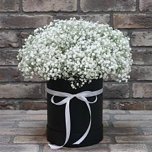 Цветочная композиция из Гипсофила в шляпной коробке в Архаре
